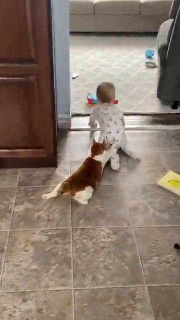 Phillies land All-Star closer Jhoan Duran ahead of MLB trade deadline jhoanduran [get.gt] смотреть онлайн