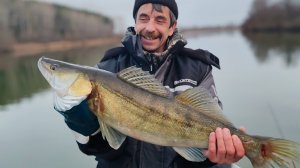 Судак на джиг!