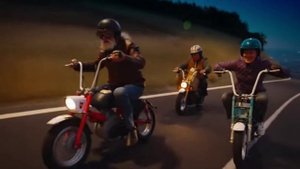 Выяснили кто шумит по ночам в Сочи