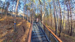 СЕРЕБРЯНЫЙ ЛОГ