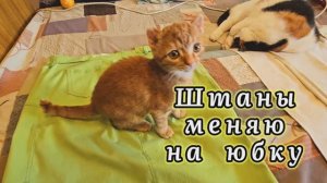 ❤️ИЗ ШТАНОВ ДЕЛАЕМ ЮБКУ ‼️7.09.25