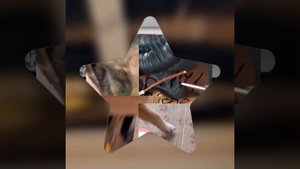 1000039042.mp4 (Собака смотрит на монтаж электропроводки (распайку р/коробок) в доме А-фрейм)