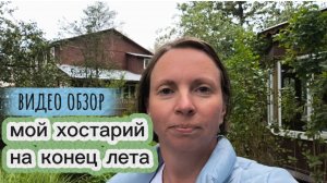 Хосты в августе