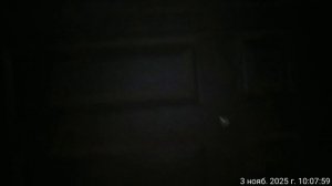 03.11.2025 музыка КВ. 4. Результат деятельности полиции. Оренбург.