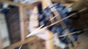 Как распутать полевку ( П-274 ) в квартире.