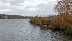 Медитация... "Серенада" Ф. Шуберта, на фоне пении птиц и журчании реки.