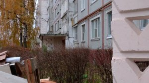 Новый проект в действии