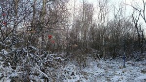 Ловля 03.11.25.