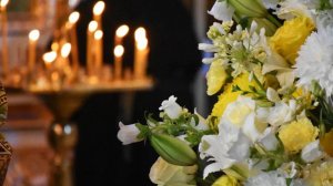 Смотри, какая красота!