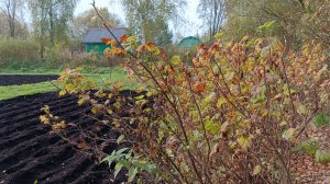 зашла на канал ЛЮБАШИНЫ Будни ⚡ что я там Увидела 🫣