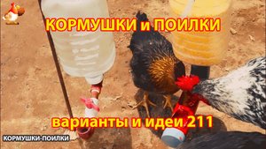 Кормушки и поилки для кур своими руками (211) 🪚✂️ Пошаговая инструкция как сделать 🐔 🐓❣️