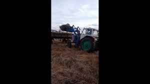 заготовка дров в лесу.