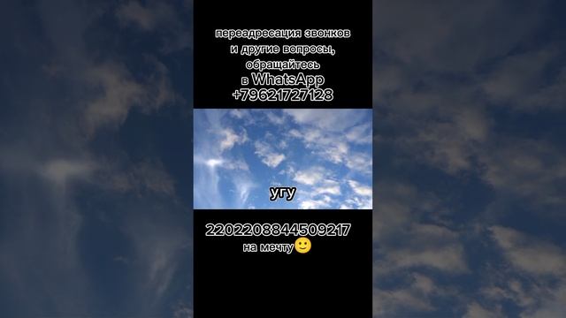 Каломасса блещет умом😂.mp4