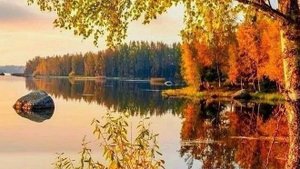 03-11-2025 Жизнь в деревне за несколько дней  🏠.