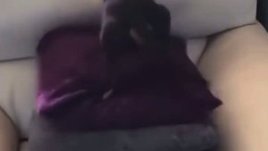 Лежак с хорошим видом из окна😂