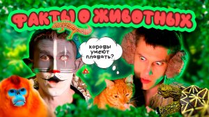 КОТ УЧЁНЫЙ | ФАКТЫ О ЖИВОТНЫХ