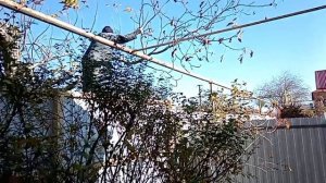 Переезд на Юг. Работы продолжаются.