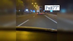 Дерзкие овцекрады в Турции