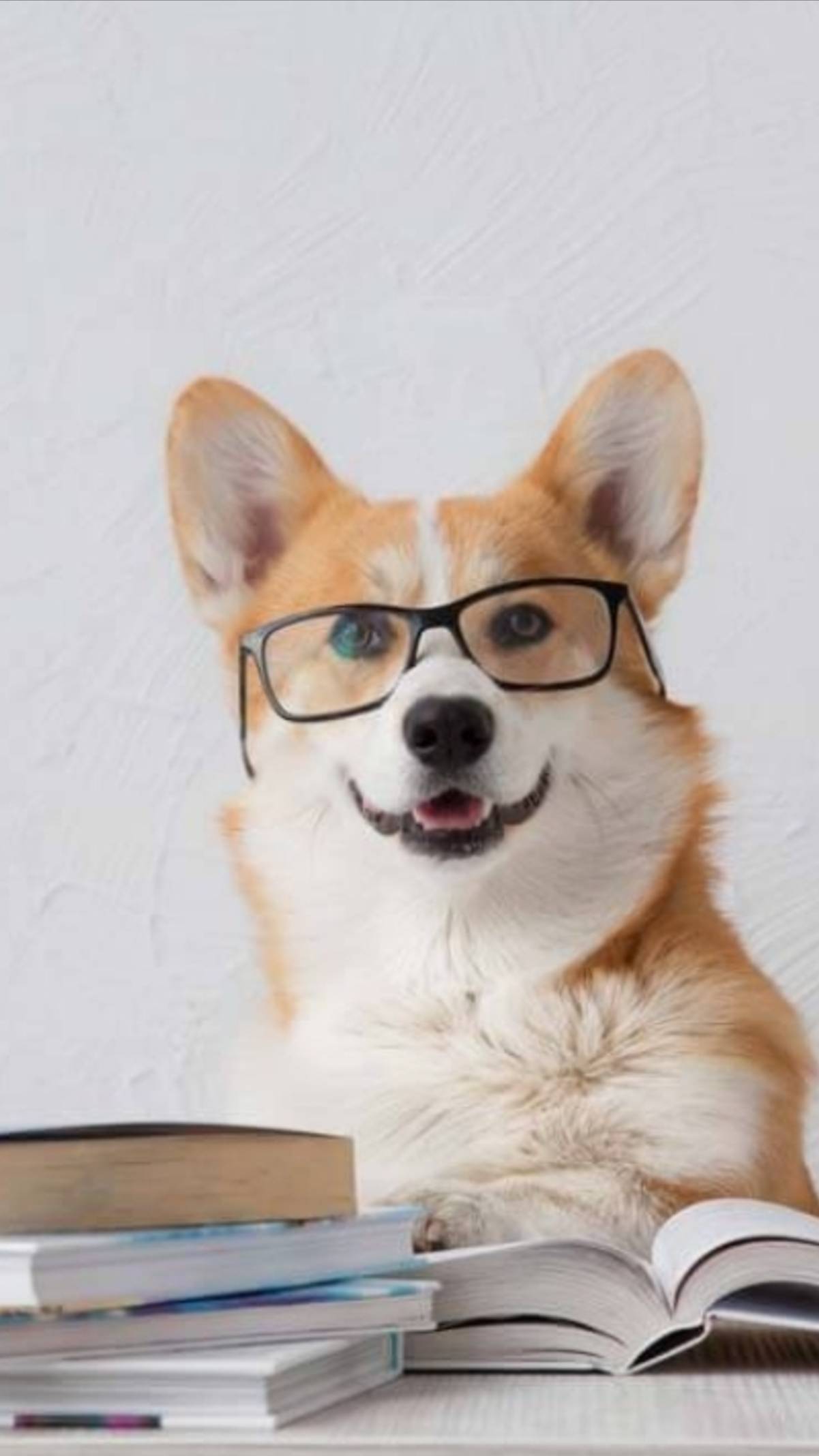 Шутка - Та самая умная собака