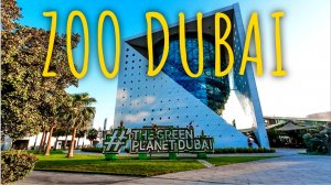 ДУБАЙ, ЗООПАРК The Green Planet Dubai, куда сходить с детьми и что посмотреть, ОАЭ 2023