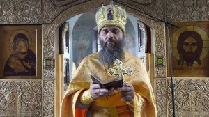 Ты не ешь мясо, молоко и яйца.Чьё сиденье справа.2.11.2025