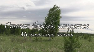 Стоит берёза, качается I Музыкальная поэзия