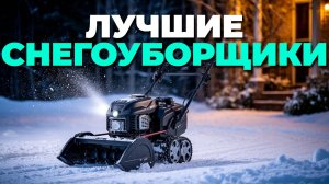 🔥 Топ-5 мощных электрических снегоуборщиков 2025 для дома и дачи!