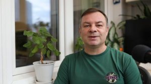 Видеостихи с балкона. Выпуск #17. Умный, глупый, хитрый и мудрый