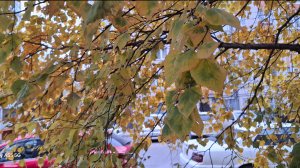 133 # Еще немного октября 2025....дымного и снежного...