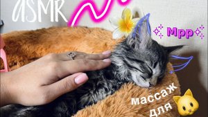 АСМР pov: ты котёнок🐱, и я сделаю тебе массаж 2 часть🤗| шепот, тихий голос, мурашки| ASMR massage