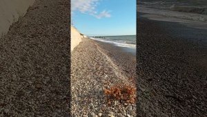 Сочи Ноябрь