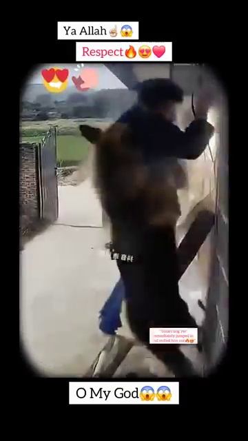 MashAllah Respect allah shorts status short respect [get.gt] смотреть онлайн