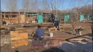 Ребята с Найдала вчера делали будки, за что им огромное спасибо! 🙏❤️🙏Сегодня будки расставляем 🏠