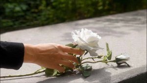 ПРИВЕТ, СЫНОК...