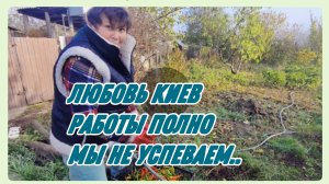 САМВЕЛ АДАМЯН, ЛЮБОВЬ КИЕВ, РАБОТЫ ПОЛНО, МЫ НЕ  УСПЕВАЕМ..