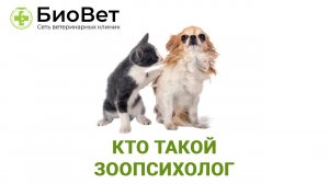 Кто такой зоопсихолог