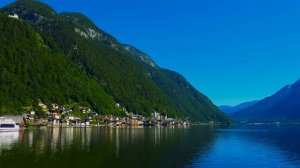 Дикая природа 4К 8К Full HD ультра (Wildlife 4K 8K Full HD Ultra)