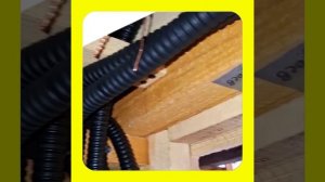 1000039039.mp4 (Собака смотрит на монтаж электропроводки (распайку р/коробок) в доме А-фрейм)