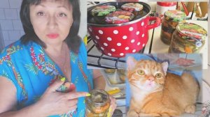 ❤️В ЖИЗНИ НЕ ВСЁ КАК КАЖЕТСЯ‼️ 4.09.25