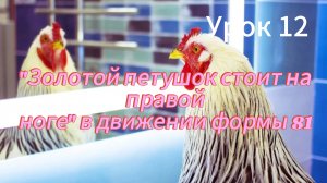 Положения рук помогают выполнить тайцзицюаньское правило "вбирания" груди