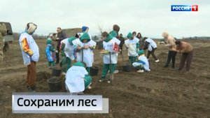 Всероссийская акция «Сохраним лес»