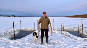 Рыбалка на фитили на Крайнем Севере. Вот это улов!