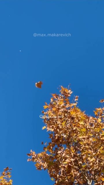 Это круто изменит твою жизнь👇 Все подробности по ссылке #верьвсебя #мечтаицель #вдохновение #силам смотреть онлайн