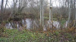 ЯКОВИЩЕНСКИЕ КЛЮЧИ Мошенской район