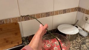 Жизнь Наташи и её семьи в Испании.