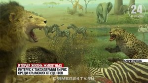 Педагог крымского вуза создаёт чучела редких животных