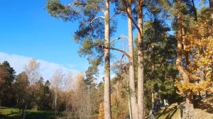 Осенние краски Верхнего парка в Ораниенбауме.