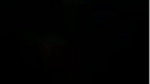 стрей \ ЭДИТ/