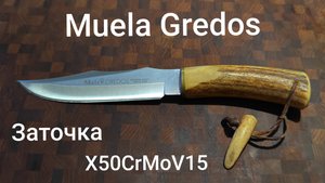 Заточка ножа Muela Gredos