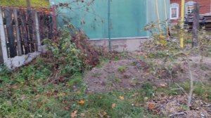 Что происходит на деревне осенью 2025года?!